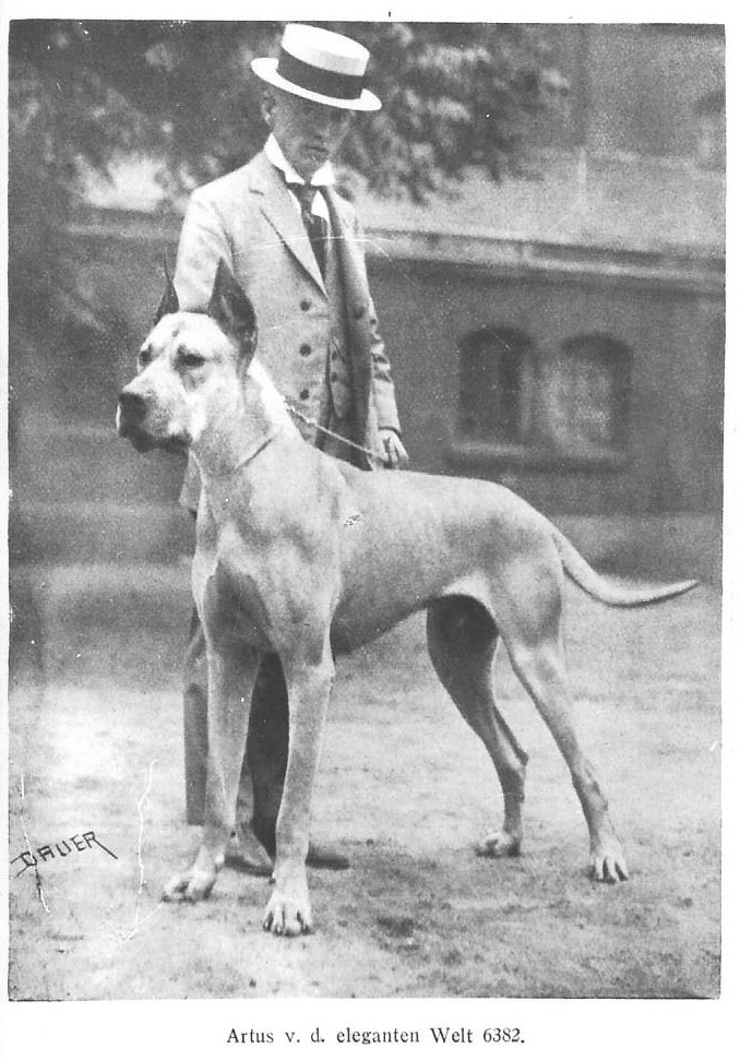 Artus vd Eleganten Welt